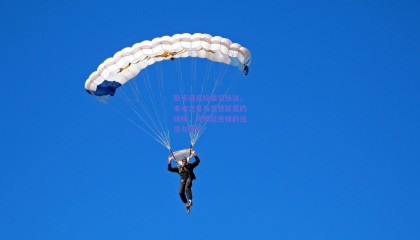 斯卡洛尼投票引热议，未来之星与当世巨星的抉择，阿根廷主帅的远见与情怀